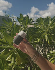 *NEW* Gingerly Powder Exfoliator Santal